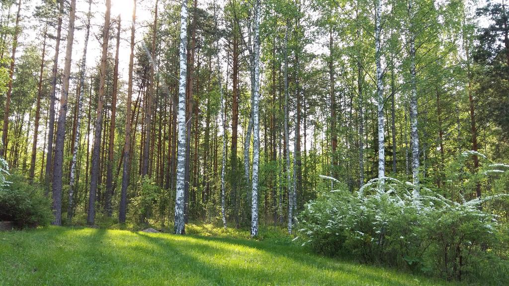 Marina Holiday Rauhan Village Apartments Imatra Bagian luar foto