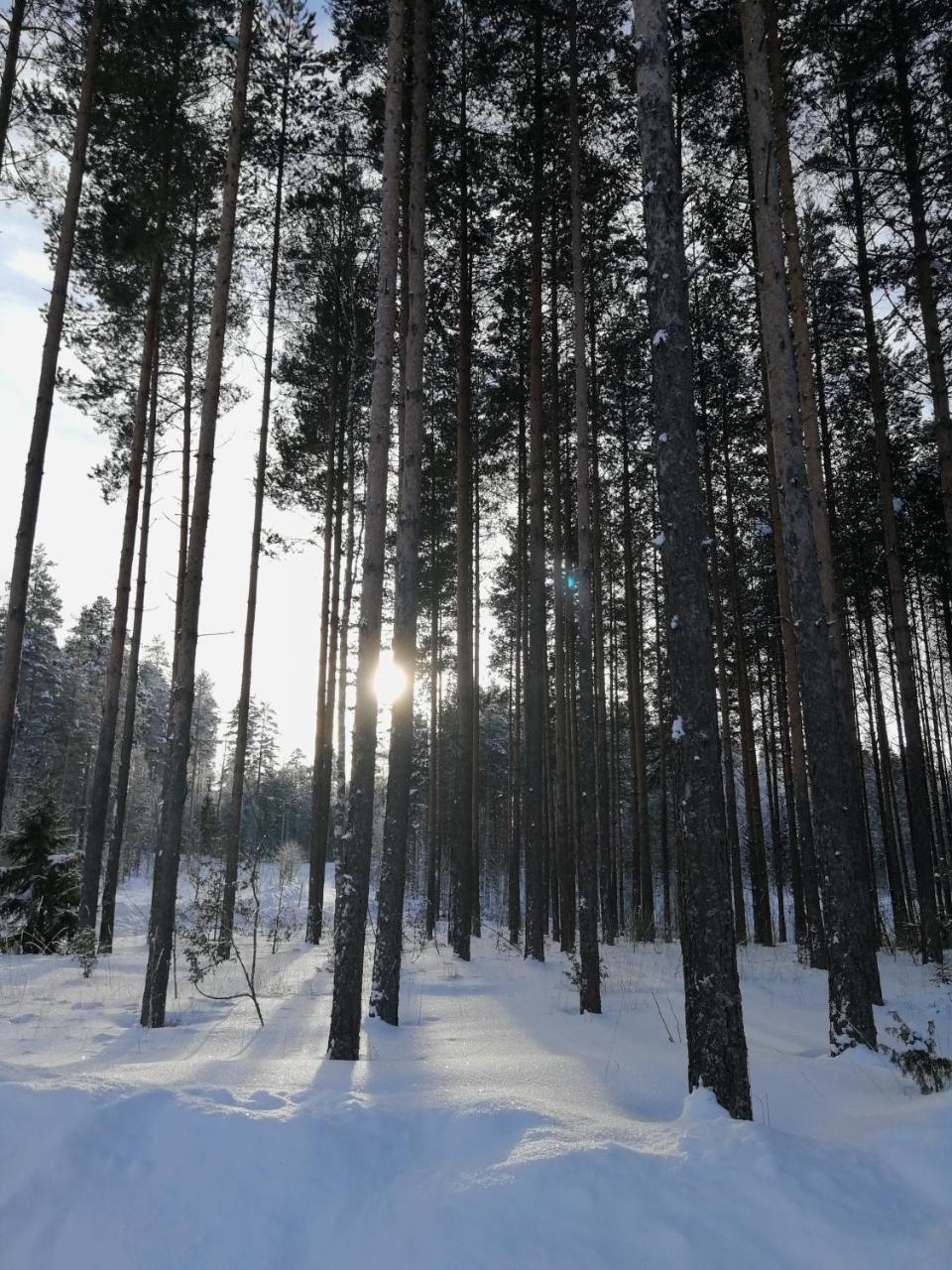 Marina Holiday Rauhan Village Apartments Imatra Bagian luar foto